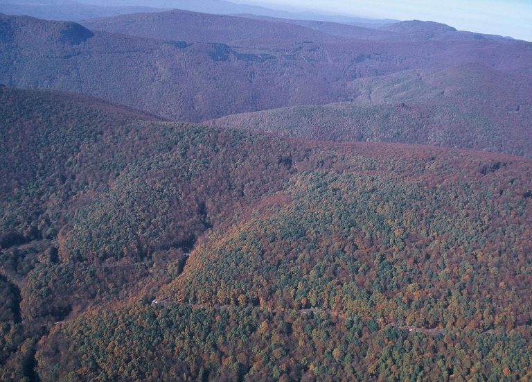 1280px-Papuk_from_air