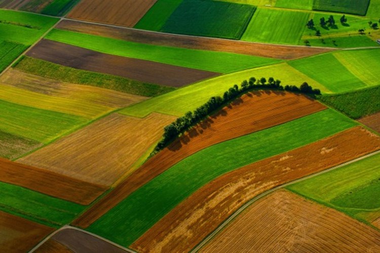 780x400_1510909819field-2572133_1920