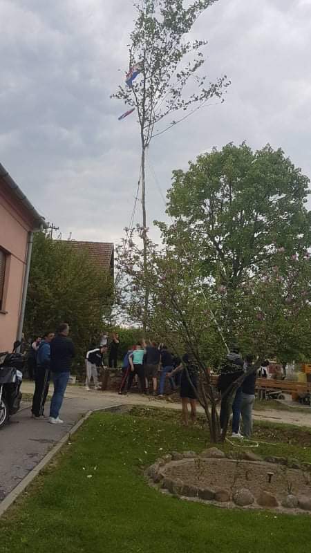 received_235751972088065