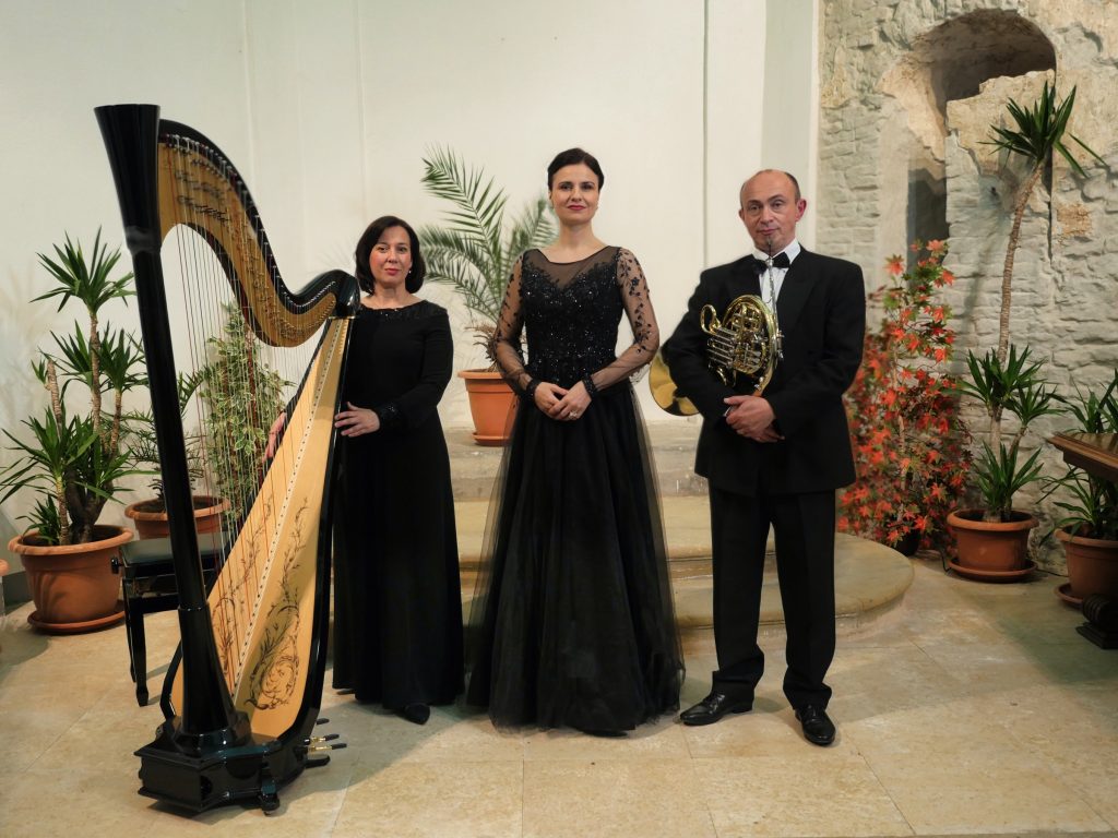P1000224 - Copy