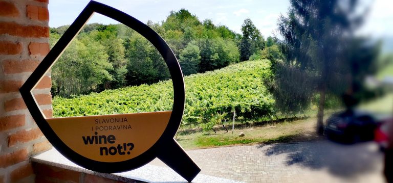 IMG_20220802_115241_edit_263540524909786-scaled