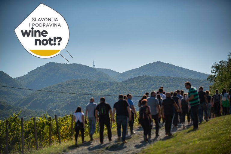 Wine-run-autor-Matija-Turkalj-113