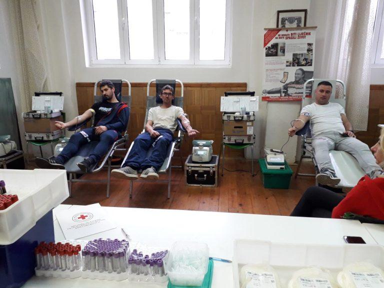 20221126_131635-1024x768