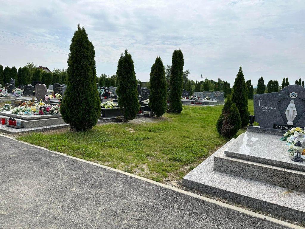 364802420_670583268448957_8008367528158167724_n