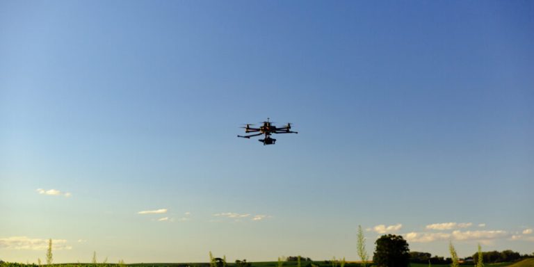 Drone in soybean crop.