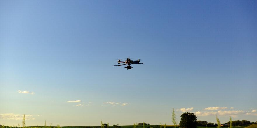 Drone in soybean crop.