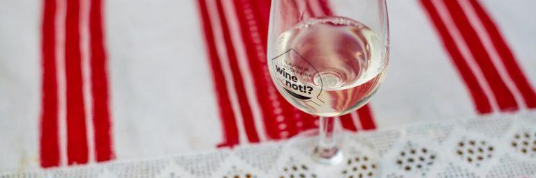 wine-run-2022-autor-matija-turkalj-26