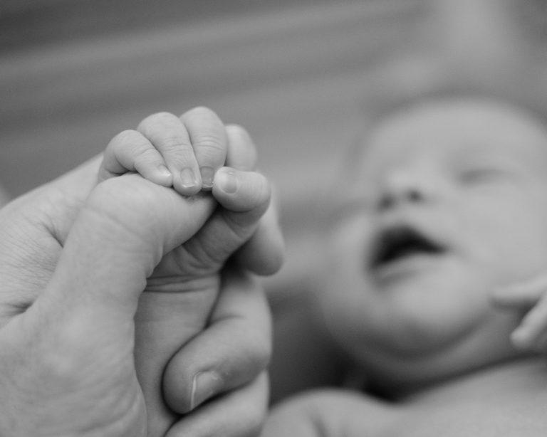 Brown Minimalist Earth Tones Family Portrait Photo Collage