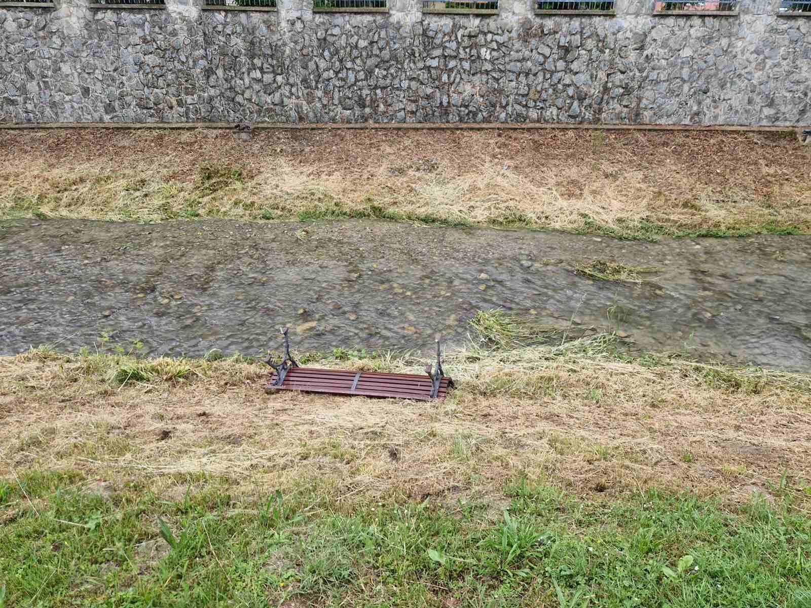 image1 (2)