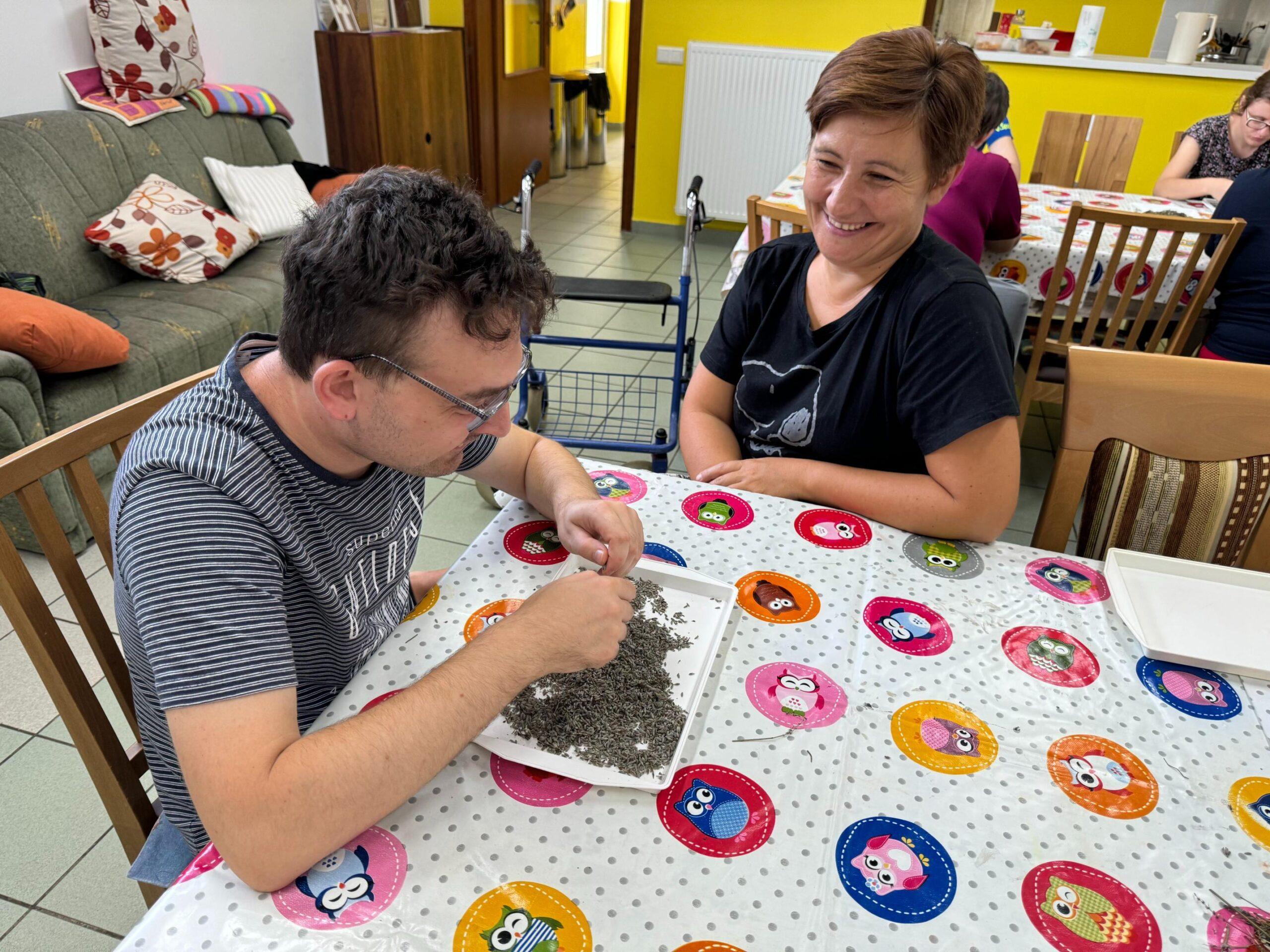 image_50762753-scaled