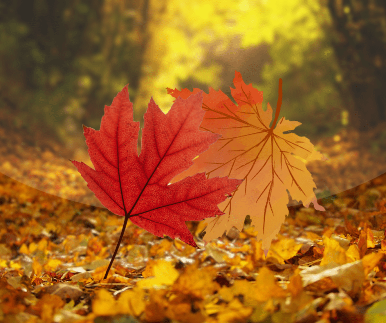 September autumn facebook post