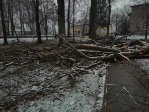 IMG_0113