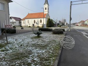 IMG_0118
