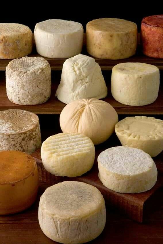 cheese