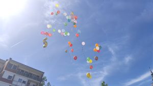 IMG_20250601_101149
