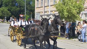 IMG_20250601_105606