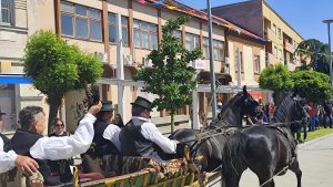 IMG_20250601_105613