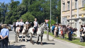 IMG_20250601_105657