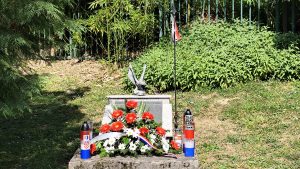 IMG_20250613_102405