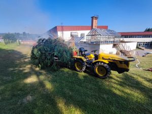 514757386_1351733260068383_7622974741955888519_n