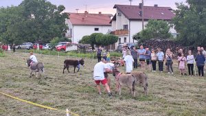 IMG_20250712_200259