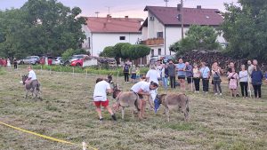 IMG_20250712_200300