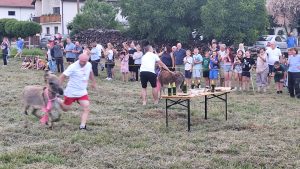 IMG_20250712_200345