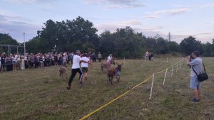 IMG_20250712_200354