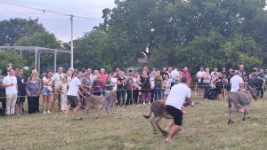 IMG_20250712_200436
