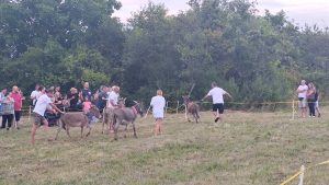 IMG_20250712_200439