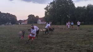 IMG_20250712_202620