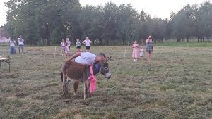 IMG_20250712_202634