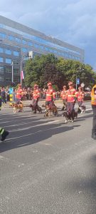IMG-20250731-WA0026