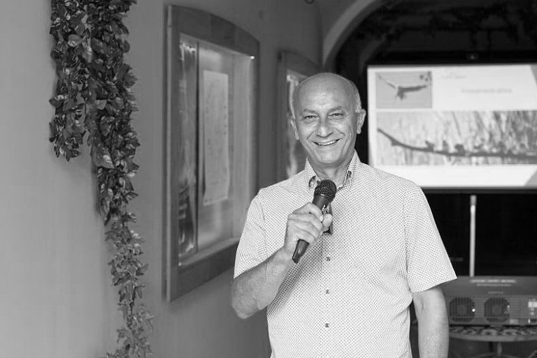 Josip-Mikolcic
