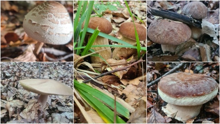 574405057_122110950321005785_4581883020371050102_n