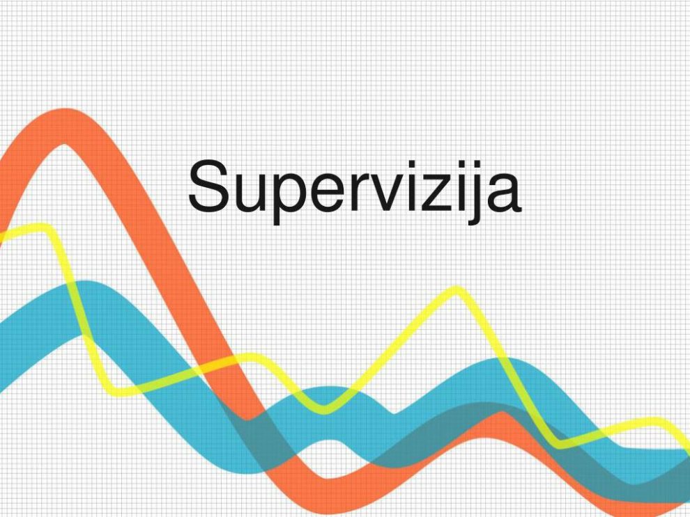 supervizija-l-990x743-1