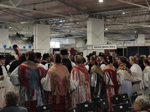 IMG_20260213_112229