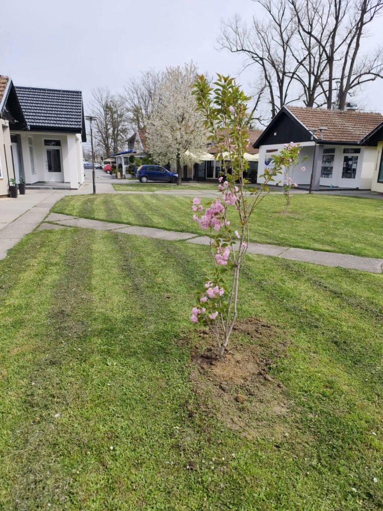 FB_IMG_1775821512894