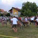 FB_IMG_1783415596179