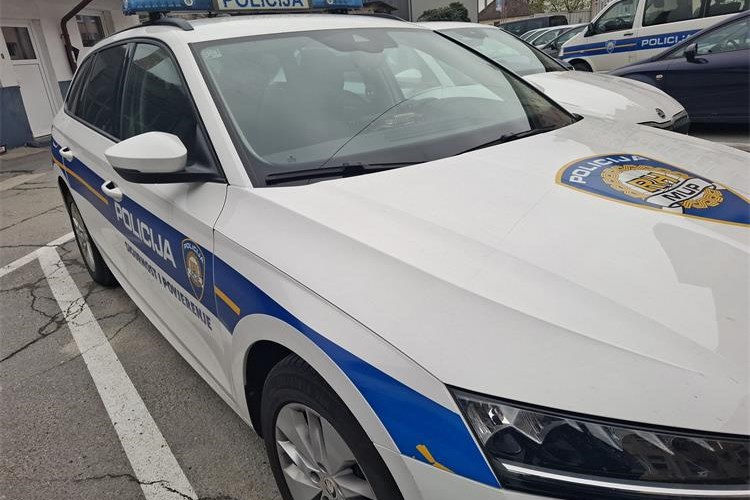 POLICIJA