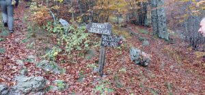 velebit3