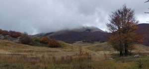 velebit6